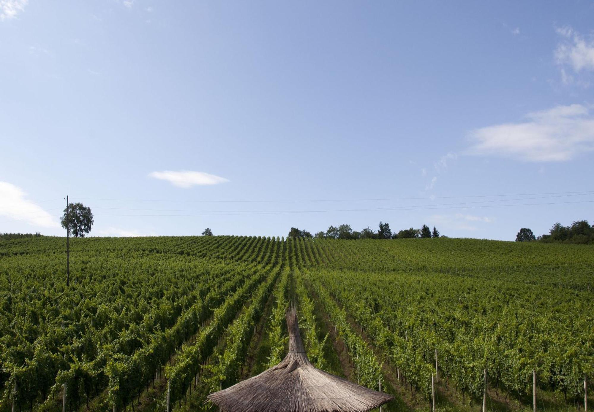 Stupnicki Dvori Winery Hotel Brodski Stupnik Exterior foto